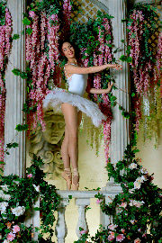 Ballerina - storm of femininity and sexuality <a href='https://www.romantikov.info/?p=albums&set=irina_p_studio&image=26412372578'>☰</a>